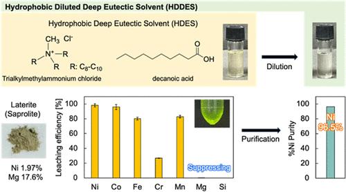 High-Purity Nickel Recovery from Low-Grade Nickel Laterite Ore Using Hydrophobic Diluted Deep Eutectic Solvents