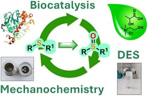 Mechano-enzymatic and deep eutectic solvent (DES) mediated sulfoxidation reactions: a comparison study†