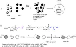 How deep eutectic solvents are currently shaping organocatalytic and enzymatic asymmetric catalysis