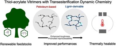 Lignin-derivable, thermally healable thiol-acrylate vitrimers with improved mechanical performance and reprocessability via transesterification†