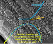 3D honeycomb porous sulfonated covalent organic polymer (PCOP) synthesized on carbon fabric at refrigerated temperature: supercapacitor and metal-free proton relay for water oxidation in alkaline and neutral media†