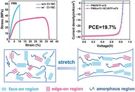 Stress-dissipative strong bimodal molecular packing towards efficient and highly stretchable organic photovoltaics†