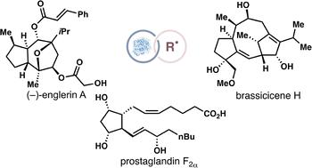 Combining biocatalytic and radical retrosynthesis for efficient chemoenzymatic synthesis of natural products