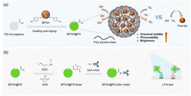Bright and stable dye-doped fluorescent polystyrene microspheres: quantitative lateral flow immunoassay for detecting serum amyloid A
