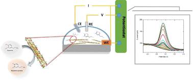 Advanced 2D MoS2–chitosan nanocomposites for ultra-sensitive and selective dopamine detection