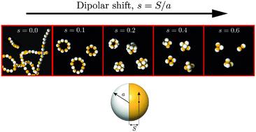 Laterally shifted dipole effect on the three-dimensional microstructures of Janus magnetic colloidal suspensions†