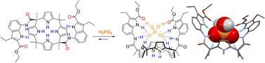 A calix[4]pyrrole functionalized with an amidoindole ester for the selective recognition of the dihydrogen phosphate anion