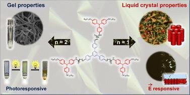The role of flexible amide spacers in the self-assembly of star-shaped triphenylbenzenes with photoactive triphenylamine units: stimuli-responsive liquid crystals and gels†