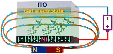 Magnetic field enhanced charge conduction in paramagnetic nickel(ii)–cysteine heterostructures†