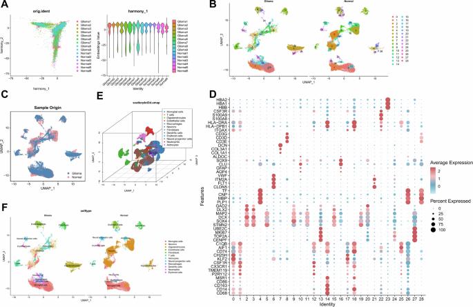 Unveiling the role of TAM-derived extracellular vesicles in glioma progression through Treg polarization and immune suppression