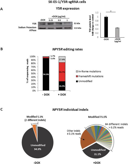 Targeted CRISPR approach reveals an essential role for neuropeptide Y receptor Y5 in Ewing sarcoma extrapulmonary metastasis