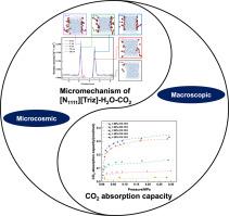 A multiscale investigation combining thermodynamic modeling and molecular dynamics study on CO2 capture with [N1111][Triz]-H2O solvent