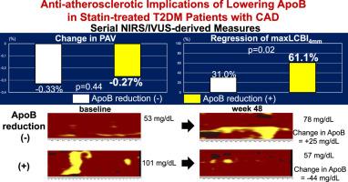 Circulating apolipoprotein B levels in statin-treated type 2 diabetic patients with coronary artery disease: Implications for coronary atheroma progression and instability