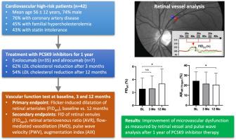 Improvement of retinal microvascular function after initiation of lipid-lowering therapy with PCSK9 inhibitors - An observational study