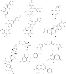 Targeting NF-κB in diabetic nephropathy: exploring the therapeutic potential of phytoconstituents