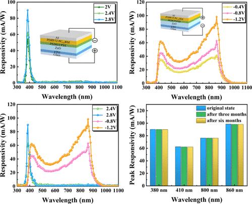 Bias-Switchable Dual-Mode Organic–Inorganic Composite Photodetector with Tunable Spectral Response
