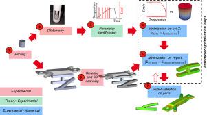A calibration method to predict shape change during sintering: Application to 316L parts made by Metal Binder Jetting