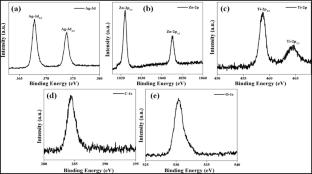 Enhanced antibacterial efficacy of Ag@ZnTiO₃ nanocomposites: green synthesis using Gaga leaf extract and mechanistic insights