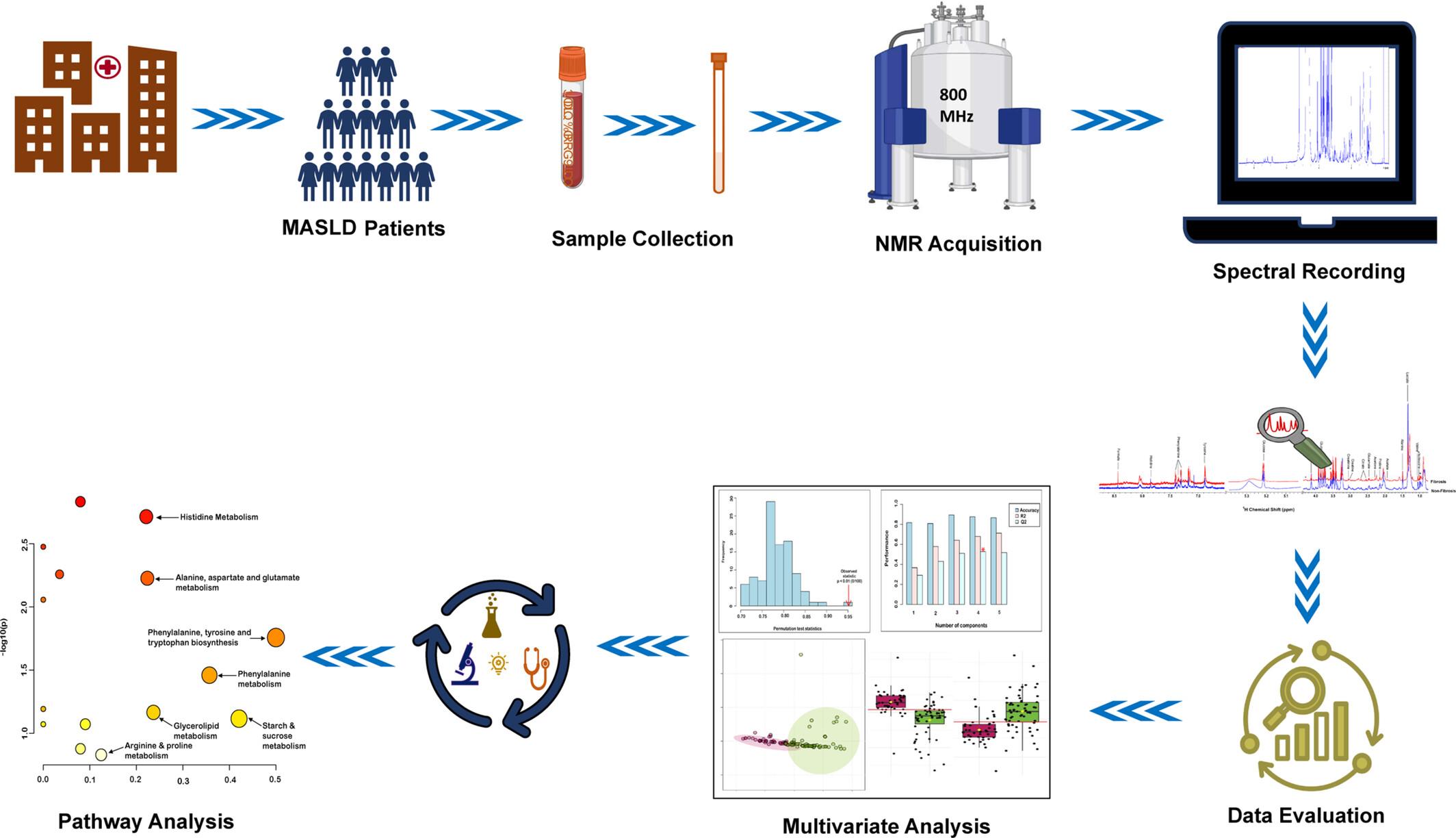NMR-Based Metabolomics Reveals Metabolic Pathway Disruptions and Potential Biomarkers for Fibrosis