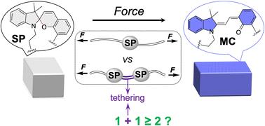 Amplification of spiropyran mechanophore activation in bulk polymers through a tethering strategy†