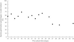 Impact of the spore production strategy of Penicillium camemberti in a solid medium on its germination abilities