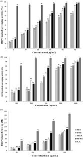 Physicochemical properties and physiological activities of Eruca sativa extract fermented by lactic acid bacteria