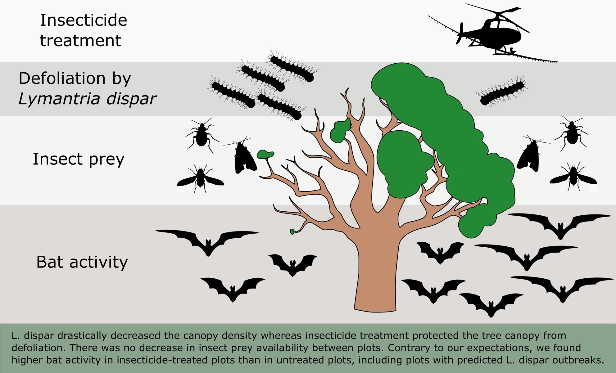 Bat response to experimental insecticide application against a defoliating moth in mixed oak forests