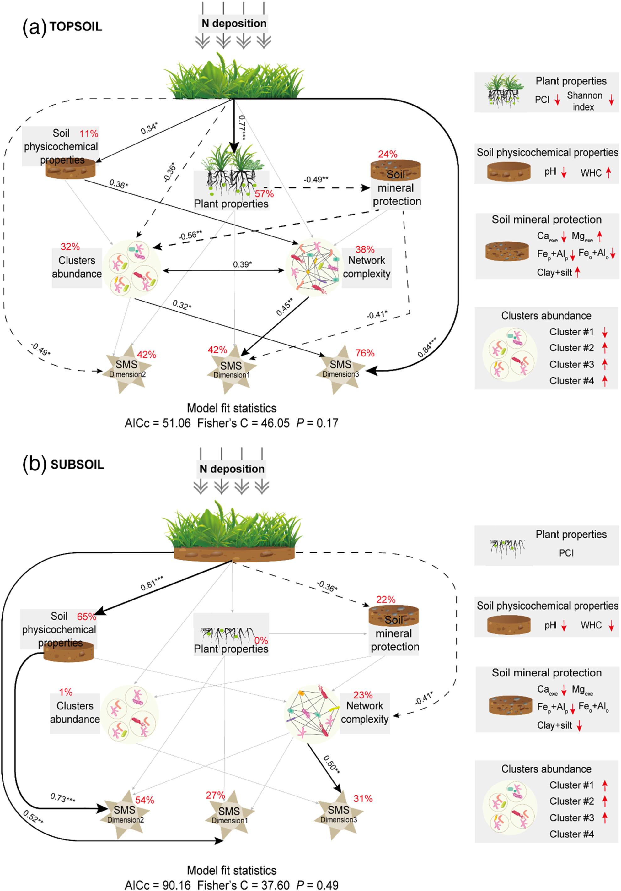 Soil microbial networks mediate long-term effects of nitrogen fertilization on ecosystem multiservices
