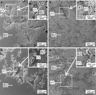 Study of corrosion resistance of two-phase CoNiAl(Fe) single crystals