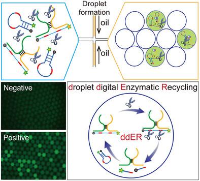 Droplet Digital Enzymatic Recycling for Single-Molecule Homogeneous Immunoassay