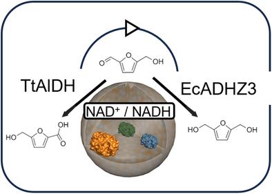 Orthogonal Valorization of 5-Hydroxymethylfurfural Using Self-Sufficient Heterogeneous Biocatalysts Composed of Two Co-Immobilized Dehydrogenases