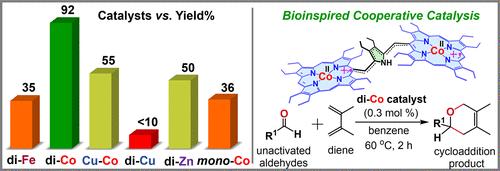 Bioinspired Oxidized Dicobalt Porphyrin Dimer-Catalyzed Cycloaddition Reactions: Cooperative Catalysis and Spectroscopic and Mechanistic Investigation