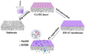Fabrication of high-quality ZIF-67 tubular membranes by the self-conversion of a Co–EG layer for methanol/tert-butyl ether separation†