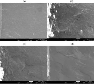 High Performance Biodegradable Polymer Nanocomposites Based on Poly(3-Hydroxybutyrate-Co-3-Hydroxyvalerate) (PHBV) and Graphene Oxide (GO)