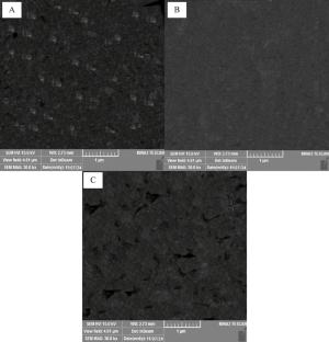 The Development and Analysis of Modified Chitosan-Gelatin Composite Films Using Ultrasound Treatment Followed by Enzymatic Crosslinking