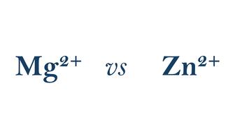 Isostructural Mg and Zn compounds: analogies and differences in reactivity