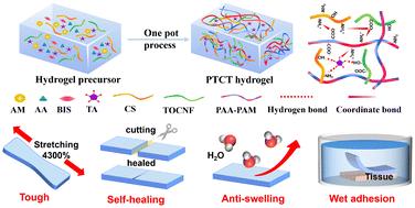 An anti-swelling and toughening underwater adhesive hydrogel for wound healing