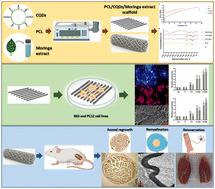 Bioactive aligned PCL/CQD/Moringa nanofiber conduits accelerate peripheral nerve regeneration: in vitro and in vivo breakthroughs in sciatic nerve repair