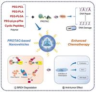 Polymer-engineered PROTAC nanovehicles amplify synergistic effects with temozolomide by BRD4 degradation†