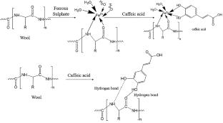 Valorization of Mustard Seed Waste in Dyeing-cum-functionalization of Wool