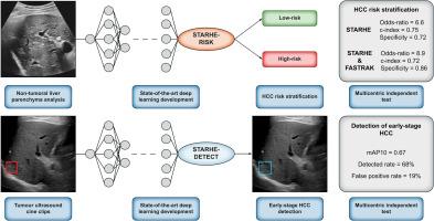 Improving risk stratification and detection of early HCC using ultrasound-based deep learning models