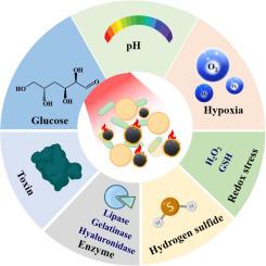 Endogenous stimuli-activatable photothermal therapy for bacterial infections