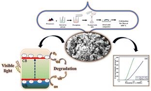 Mechanistic insights into the photocatalytic and electrocatalytic activities of MgNiO2: role of reactive oxygen species and oxygen vacancies†