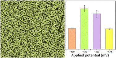 Surface potential-dependent assembly of DNA origami lattices at SiO2 surfaces†