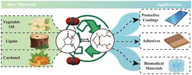 Non-isocyanate polyurethane from bio-based feedstocks and their interface applications