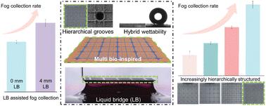 Special fog collection mode achieved on an integrative multi-bioinspired hierarchically grooved surface with liquid bridge assistance†