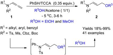 TCCA/PhSH-mediated regioselective hydroethoxylation and hydromethoxylation of allenamides via a radical process