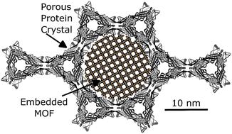 Deposition of metal–organic frameworks within a porous protein crystal superstructure†
