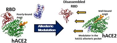 Modulating functional allostery of the host-cell receptor protein hACE2 to inhibit viral entry of SARS-CoV-2