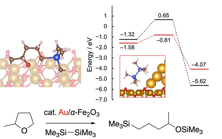 Reaction mechanism of silylation of C–O bonds in alkyl ethers over supported gold catalysts: experimental and theoretical investigations